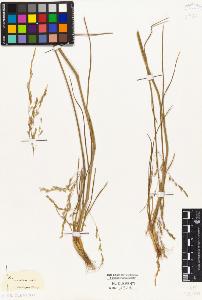 SW_BNB_s3010-02353_IMG-0000000001