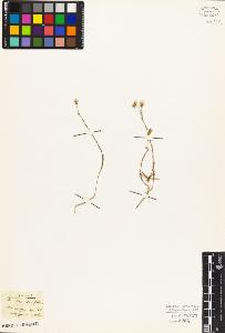 SW_BNB_s3010-02362_IMG-0000000001