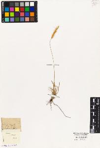 SW_BNB_s3010-02366_IMG-0000000001