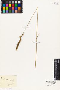 SW_BNB_s3010-02368_IMG-0000000001