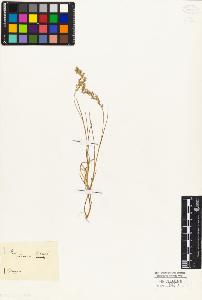 SW_BNB_s3010-02369_IMG-0000000001