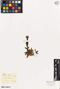 SW_BNB_s3010-02372_IMG-0000000001