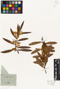 SW_BNB_s3010-02375_IMG-0000000001