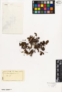 SW_BNB_s3010-02377_IMG-0000000001