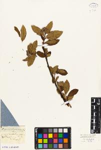 SW_BNB_s3010-02378_IMG-0000000001