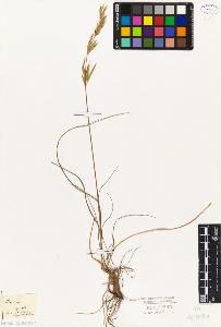 SW_BNB_s3010-02381_IMG-0000000001