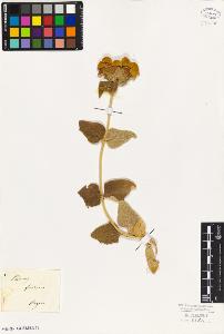 SW_BNB_s3010-02382_IMG-0000000001