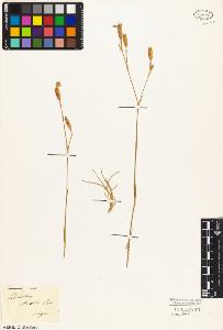 SW_BNB_s3010-02387_IMG-0000000001