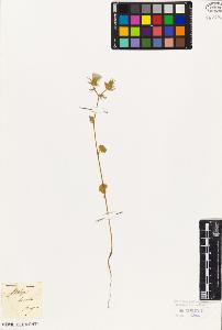 SW_BNB_s3010-02389_IMG-0000000001