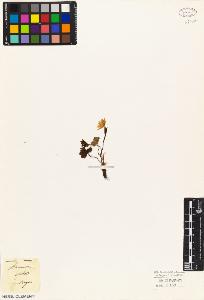 SW_BNB_s3010-02390_IMG-0000000001