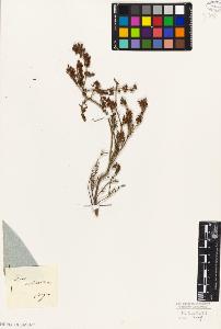 SW_BNB_s3010-02393_IMG-0000000001