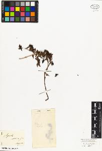 SW_BNB_s3010-02394_IMG-0000000001