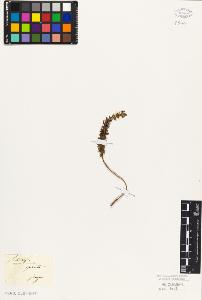 SW_BNB_s3010-02395_IMG-0000000001