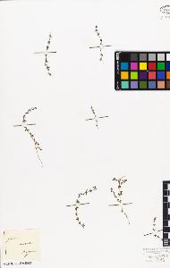 SW_BNB_s3010-02397_IMG-0000000001