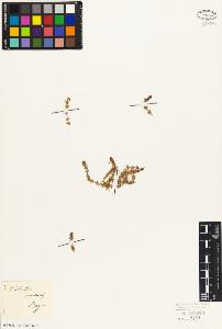 SW_BNB_s3010-02400_IMG-0000000001