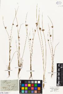 SW_BNB_s3010-02403_IMG-0000000001