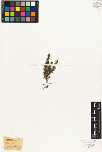 SW_BNB_s3010-02405_IMG-0000000001