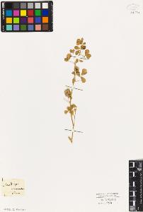 SW_BNB_s3010-02406_IMG-0000000001