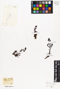 SW_BNB_s3010-02409_IMG-0000000001