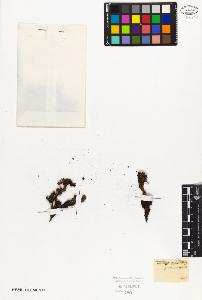 SW_BNB_s3010-02410_IMG-0000000001