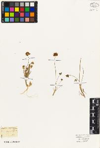 SW_BNB_s3010-02412_IMG-0000000001