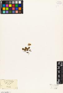 SW_BNB_s3010-02413_IMG-0000000001