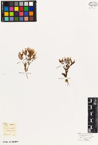SW_BNB_s3010-02415_IMG-0000000001