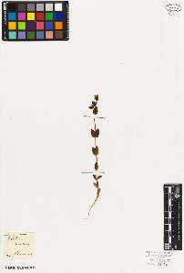 SW_BNB_s3010-02416_IMG-0000000001