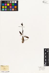 SW_BNB_s3010-02423_IMG-0000000001