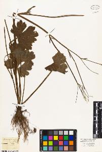 SW_BNB_s3010-02426_IMG-0000000001
