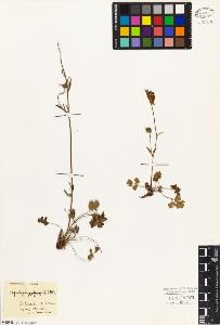 SW_BNB_s3010-02428_IMG-0000000001