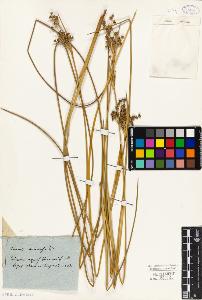 SW_BNB_s3010-02436_IMG-0000000001