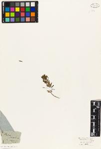 SW_BNB_s3010-02438_IMG-0000000001