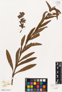 SW_BNB_s3010-02440_IMG-0000000001