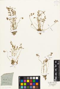SW_BNB_s3010-02442_IMG-0000000001