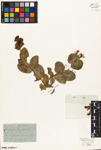 SW_BNB_s3010-02445_IMG-0000000001