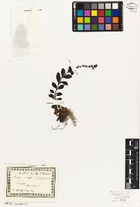 SW_BNB_s3010-02447_IMG-0000000001