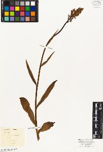 SW_BNB_s3010-02448_IMG-0000000001