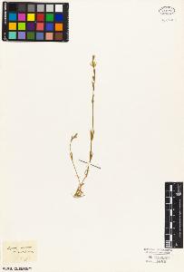 SW_BNB_s3010-02452_IMG-0000000001