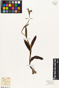 SW_BNB_s3010-02454_IMG-0000000001