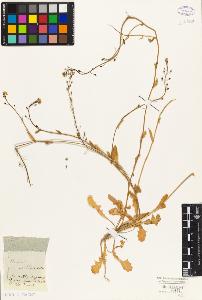 SW_BNB_s3010-02456_IMG-0000000001