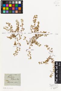 SW_BNB_s3010-02457_IMG-0000000001