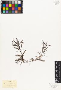 SW_BNB_s3010-02458_IMG-0000000001