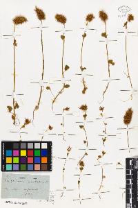 SW_BNB_s3010-02461_IMG-0000000001