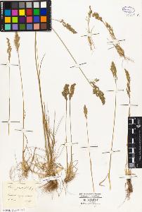 SW_BNB_s3010-02466_IMG-0000000001