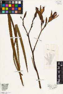 SW_BNB_s3010-02467_IMG-0000000001