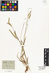 SW_BNB_s3010-02470_IMG-0000000001