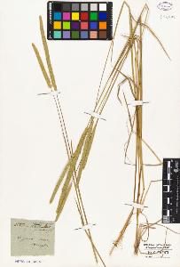SW_BNB_s3010-02480_IMG-0000000001