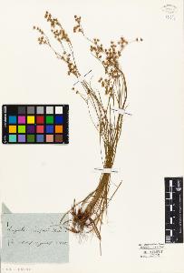 SW_BNB_s3010-02481_IMG-0000000001