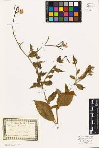 SW_BNB_s3010-02490_IMG-0000000001